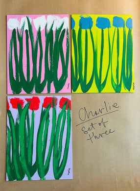 Charlie's Tulips